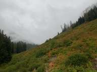 The mountainside